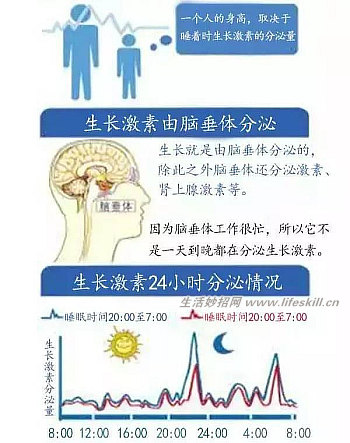 想要孩子长高个，睡眠时间很重要！